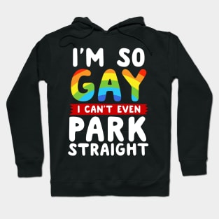 I'm So Gay I Can't Even Park Straight Hoodie